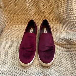 Women’s Steve Madden Burgundy velvet slip on sneaker